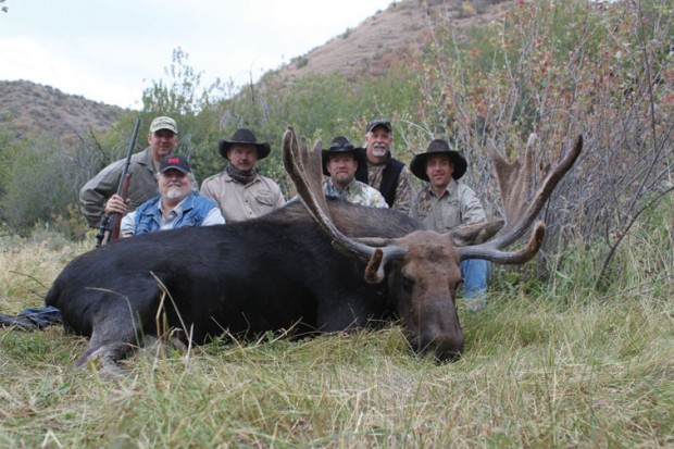 20.moose.jpg